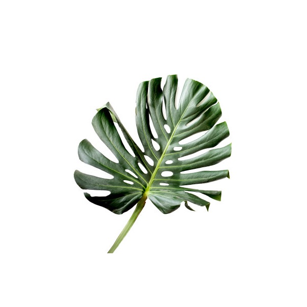 Simulated green leaves