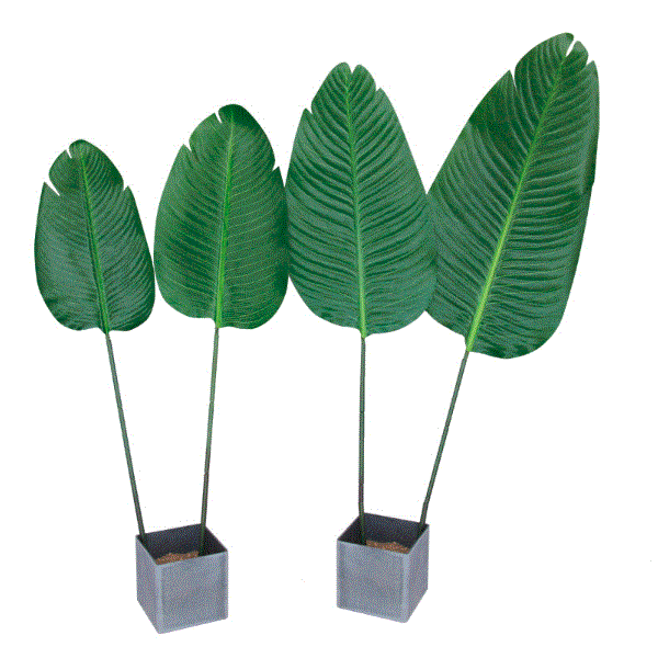 Simulated Leaf