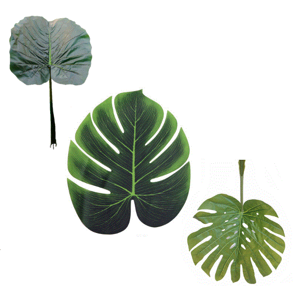 Simulated Leaf