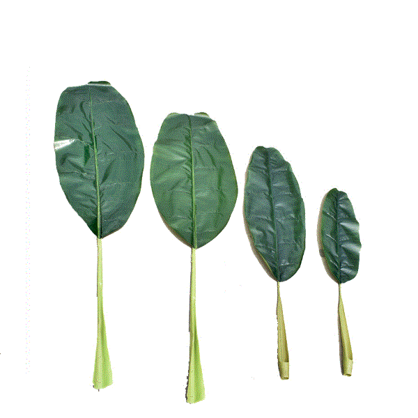 Simulated Leaf