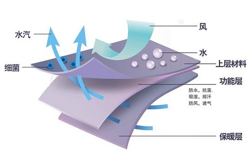 万华化学薄膜TPU赋予服饰新生命